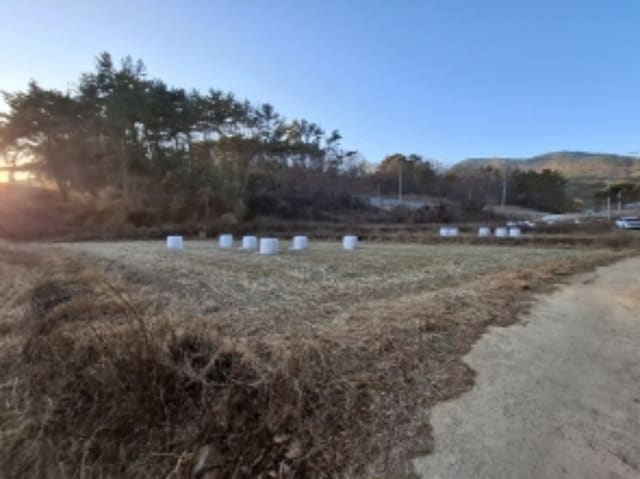 B000421202401300066171.jpg