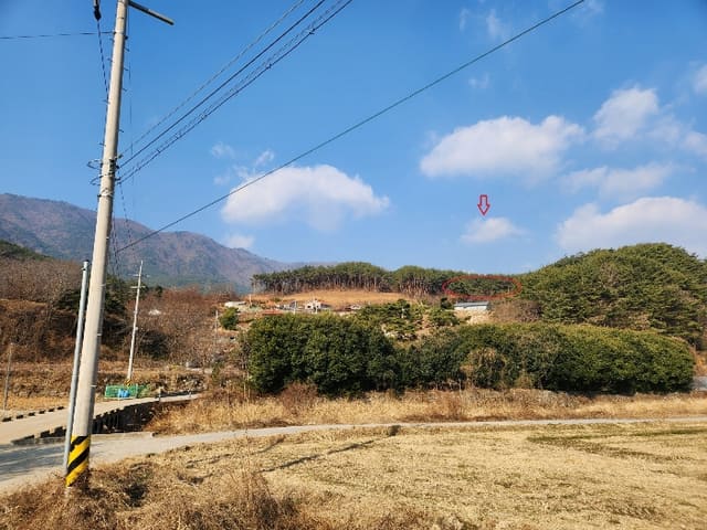 B000421202401300066314.jpg