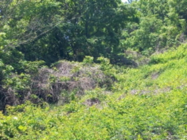 B000421202401300333433.jpg