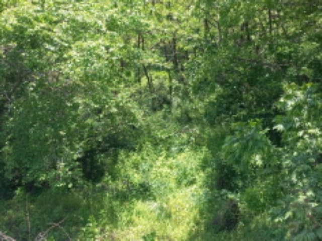 B000421202401300333434.jpg