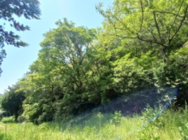 B000421202401300333431.jpg