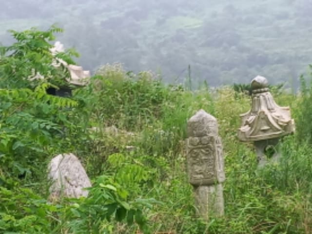 B000421202401300355231.jpg