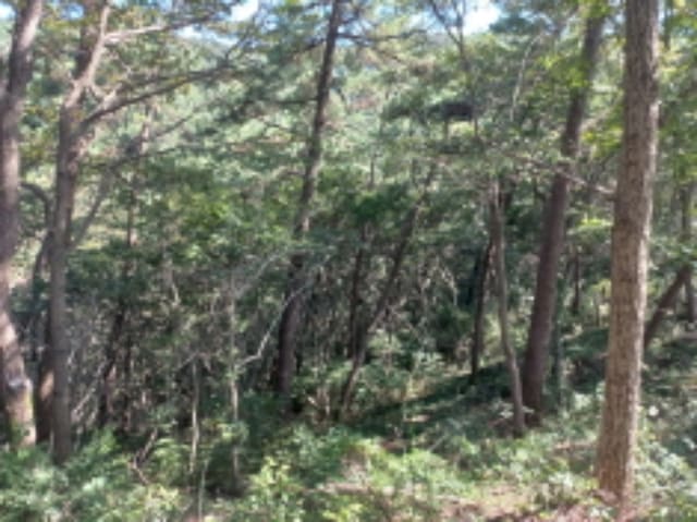 B000421202401300364414.jpg