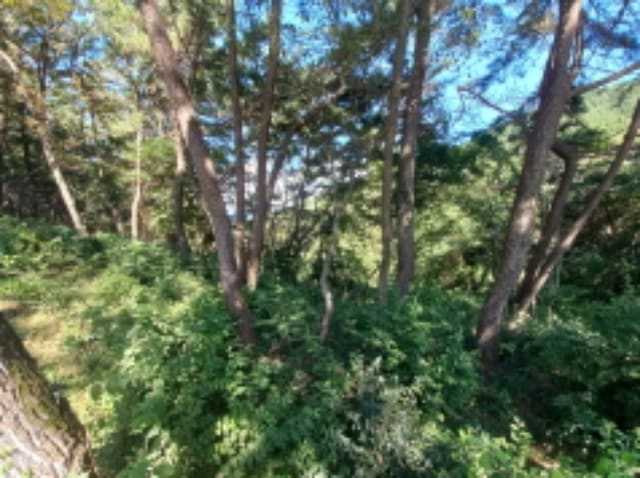B000421202401300364412.jpg