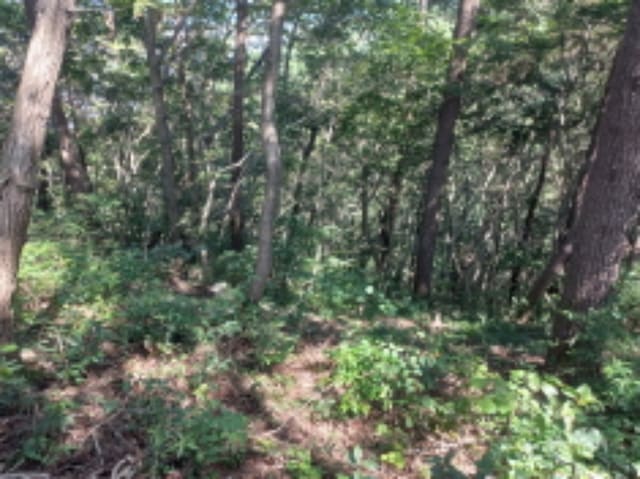 B000421202401300364411.jpg