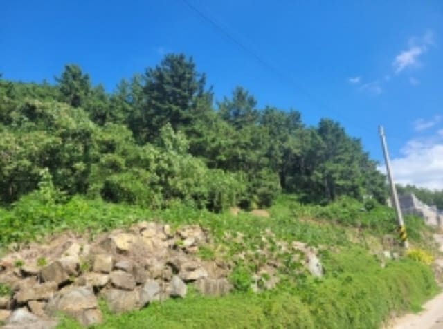 B000421202401300370862.jpg