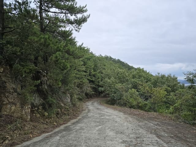 B000421202401300372847.jpg