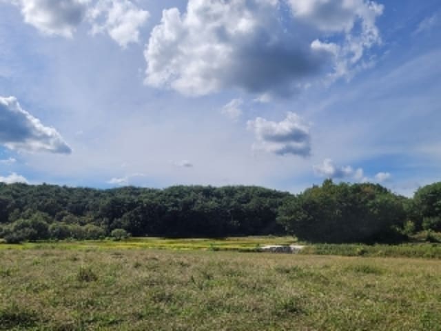 B000421202401300374371.jpg