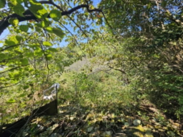 B000421202401300378192.jpg