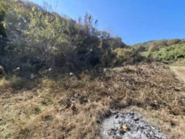 B000421202401300388291.jpg