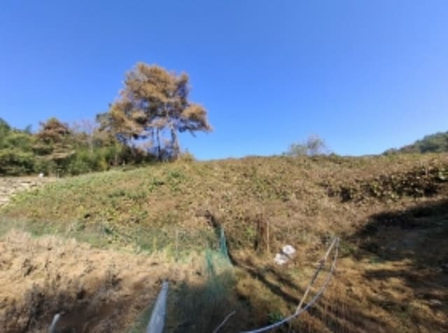 B000421202401300388294.jpg