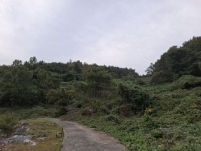 B000421202401300389424.jpg