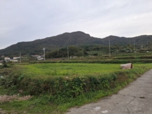 B000421202401300389421.jpg