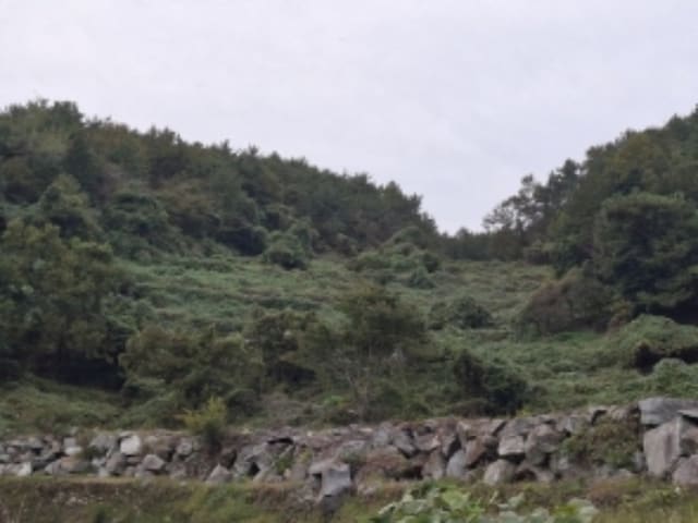 B000421202401300389423.jpg