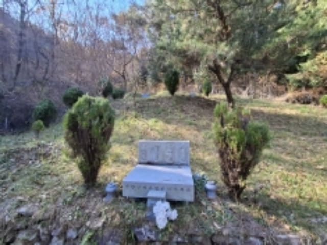 B000421202401300396792.jpg