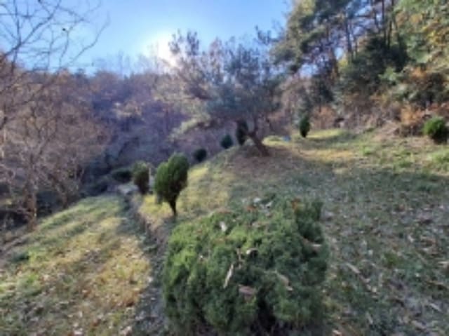 B000421202401300396791.jpg
