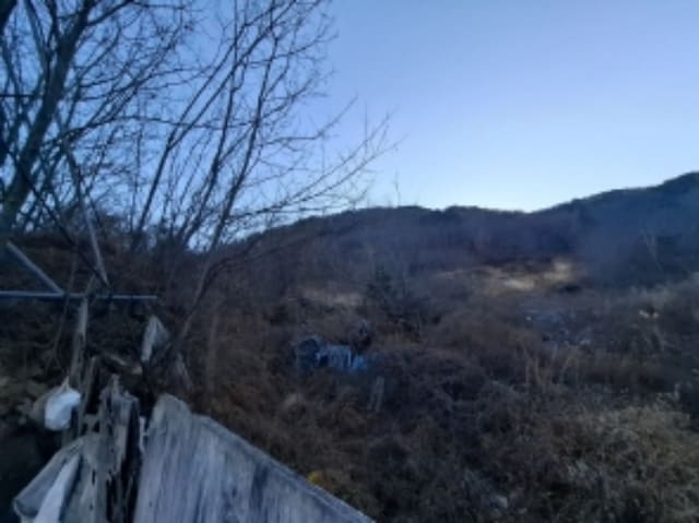 B000421202401300402662.jpg