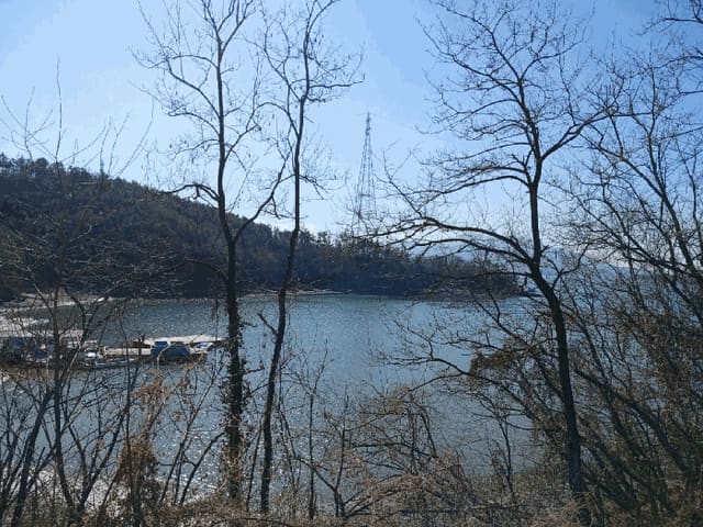 B000421202401300404884.jpg