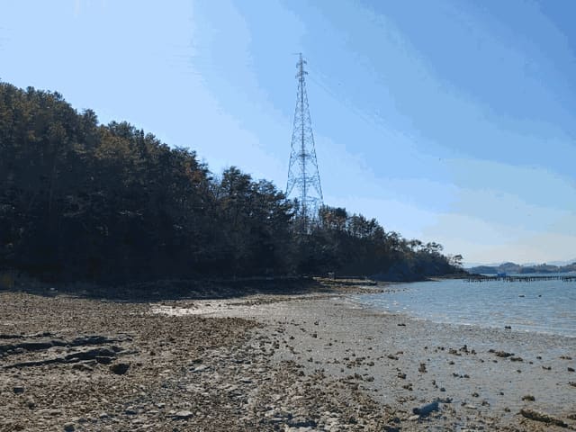 B000421202401300404883.jpg