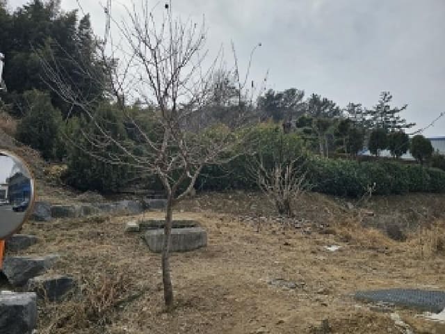 B000421202501300001661.jpg