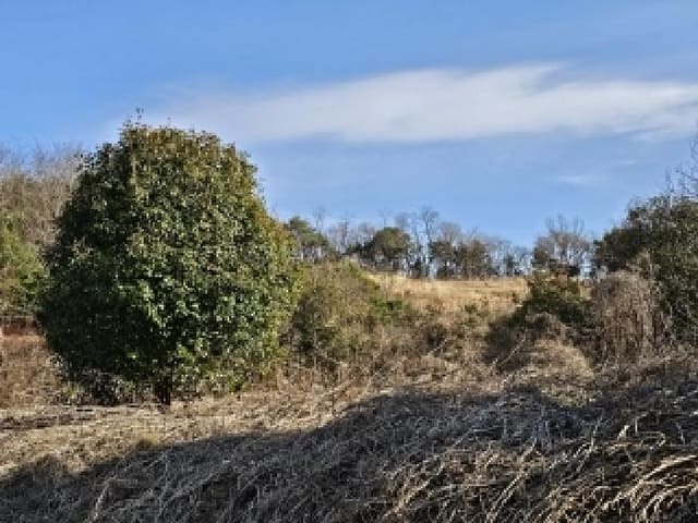 B000421202501300004252.jpg