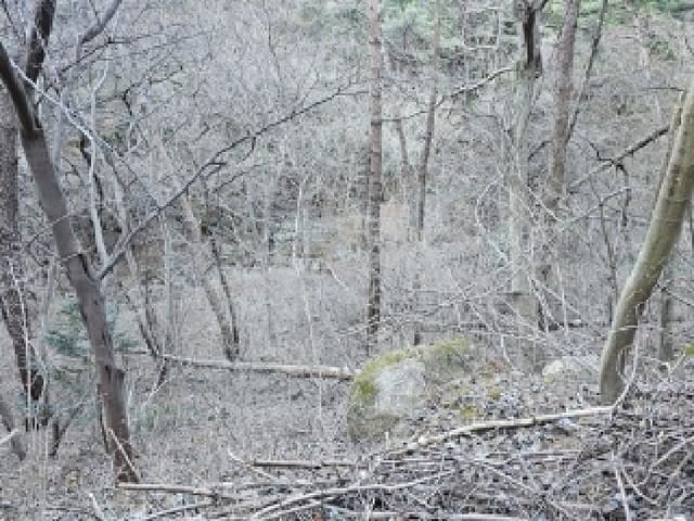 B0004212025013000050022.jpg