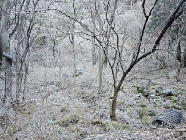B0004212025013000050023.jpg