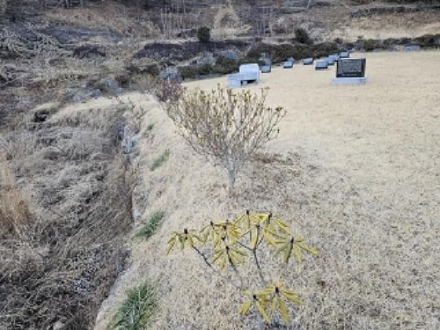 B0004212025013000050021.jpg