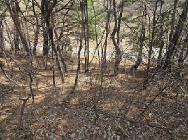 B000421202501300005054.jpg