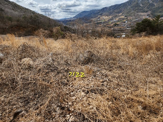 B0004212025013000050567.jpg