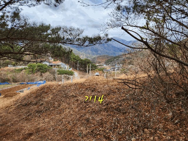 B0004212025013000050568.jpg