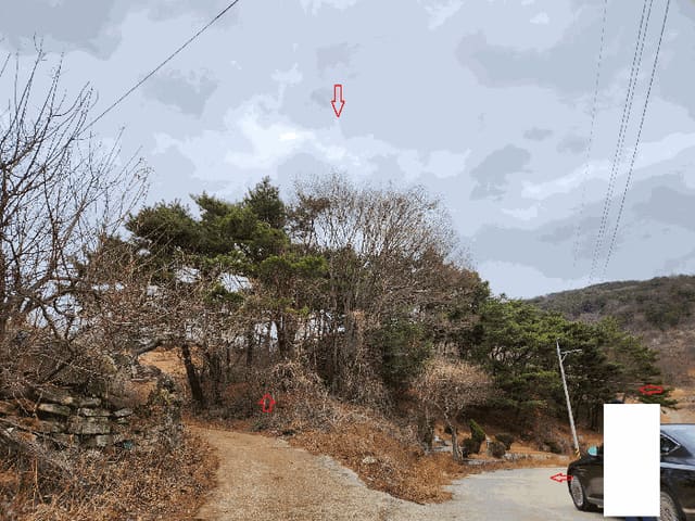B0004212025013000050569.jpg