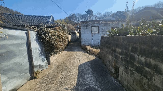 B0004212025013000055117.jpg