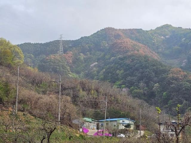 B000421202501300005552.jpg