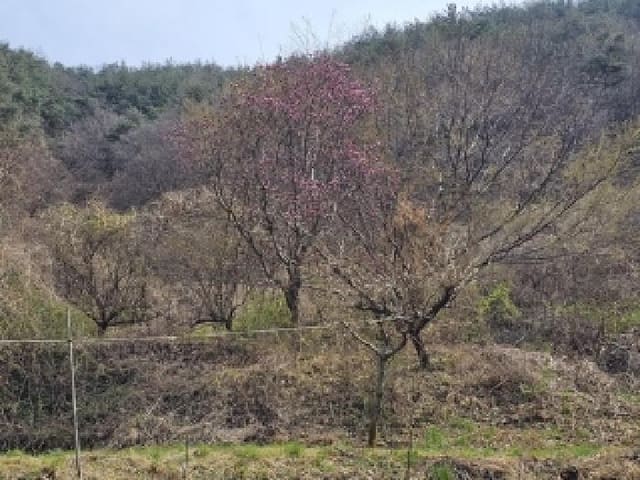 B000421202501300005591.jpg