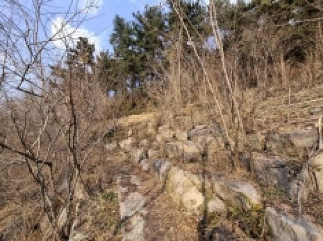 B000421202501300005618.jpg