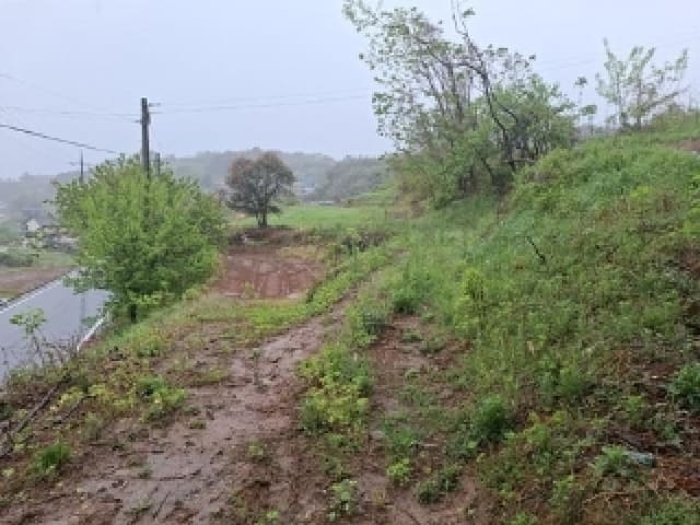B000421202501300005922.jpg
