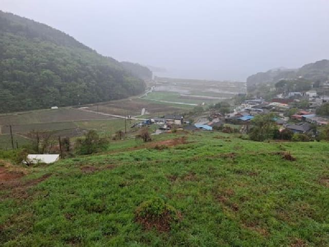 B000421202501300005923.jpg