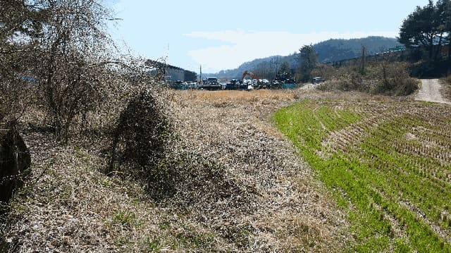 B000421202501300005974.jpg