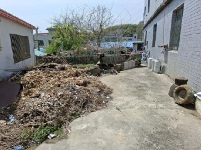B000421202501300006014.jpg
