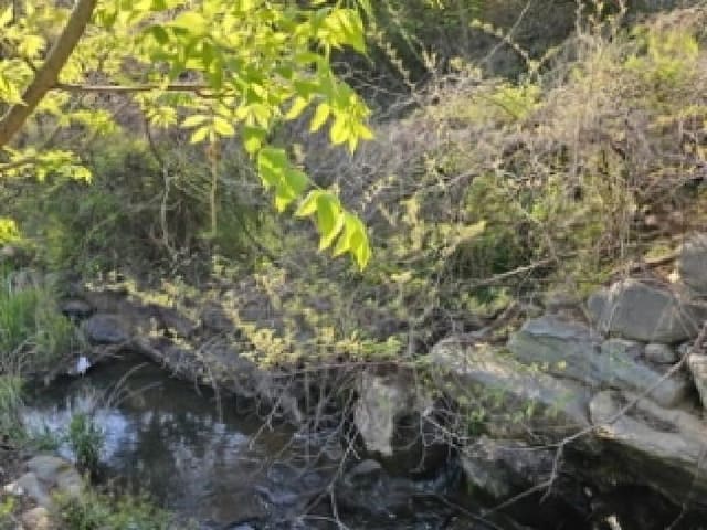 B000421202501300006041.jpg
