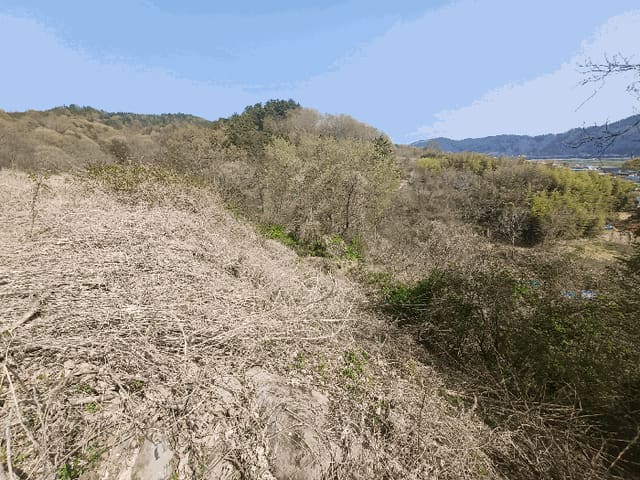 B0004212025013000060615.jpg