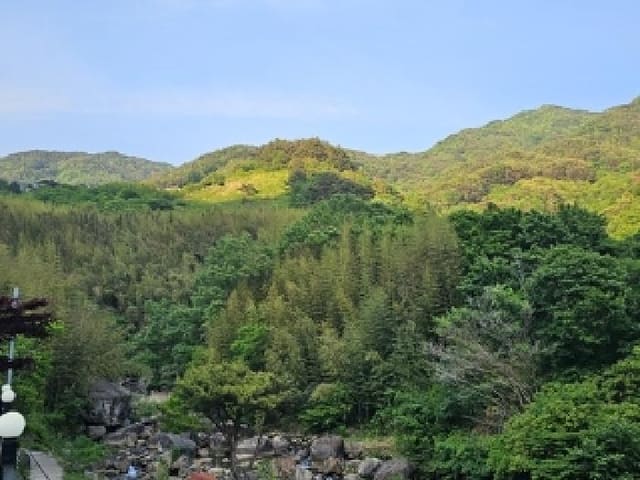 B000421202501300006291.jpg
