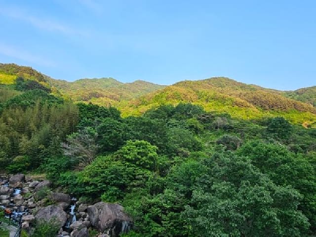 B000421202501300006292.jpg