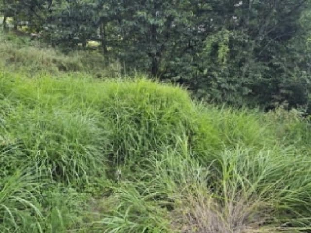B000421202501300006341.jpg