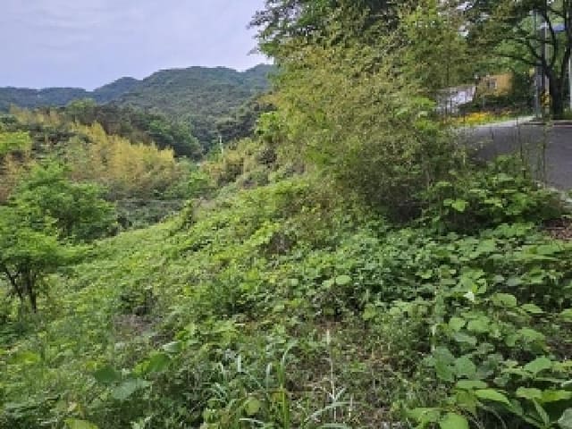 B0004212025013000066416.jpg
