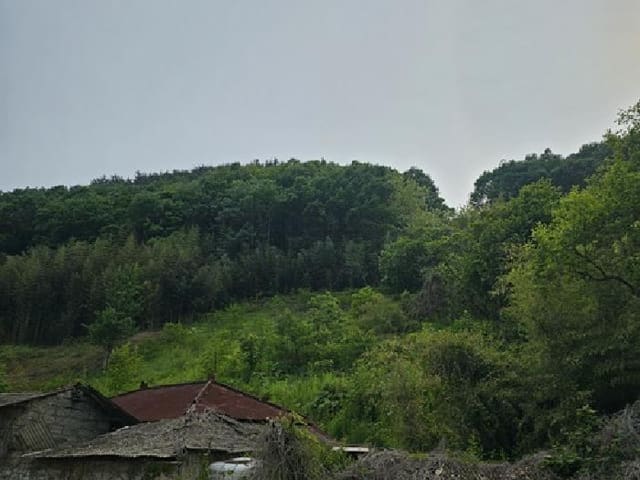 B000421202501300006661.jpg