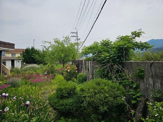 B000421202501300006683.jpg