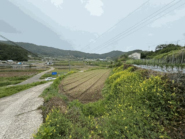 B000421202501300006714.jpg