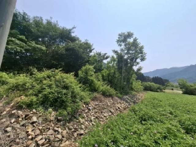 B000421202501300006761.jpg